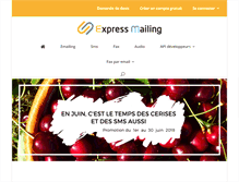 Tablet Screenshot of express-mailing.com